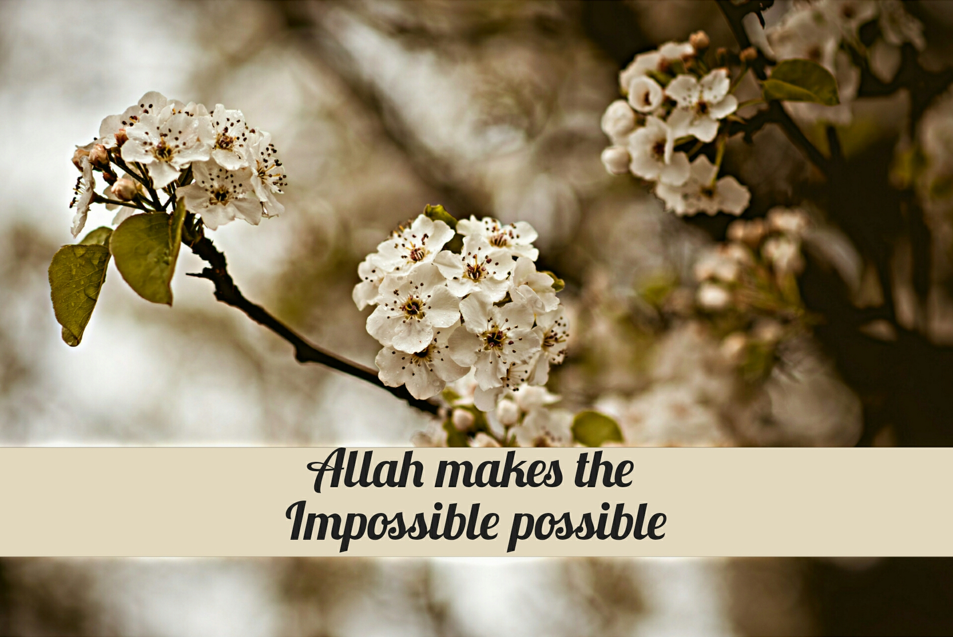 Allah-makes-the-impossible-possible